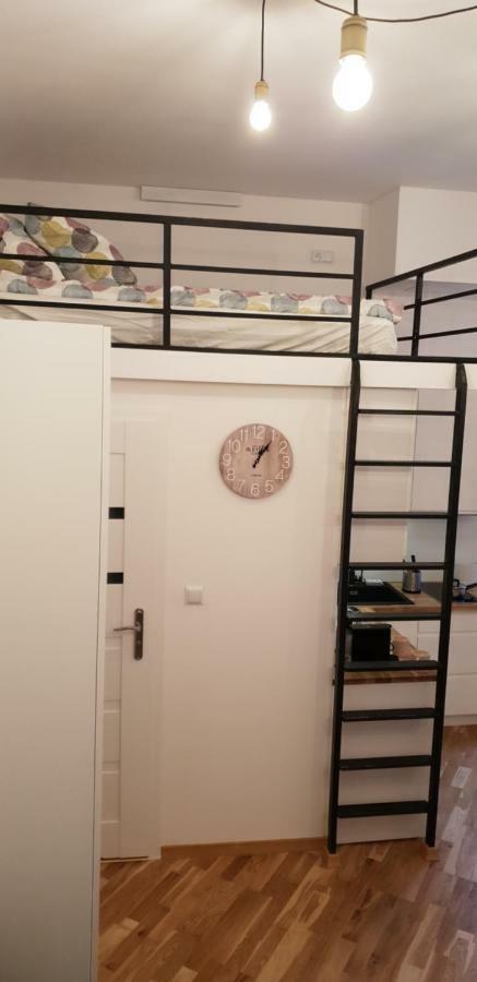 Apartment Lenartowicza Krasków Εξωτερικό φωτογραφία